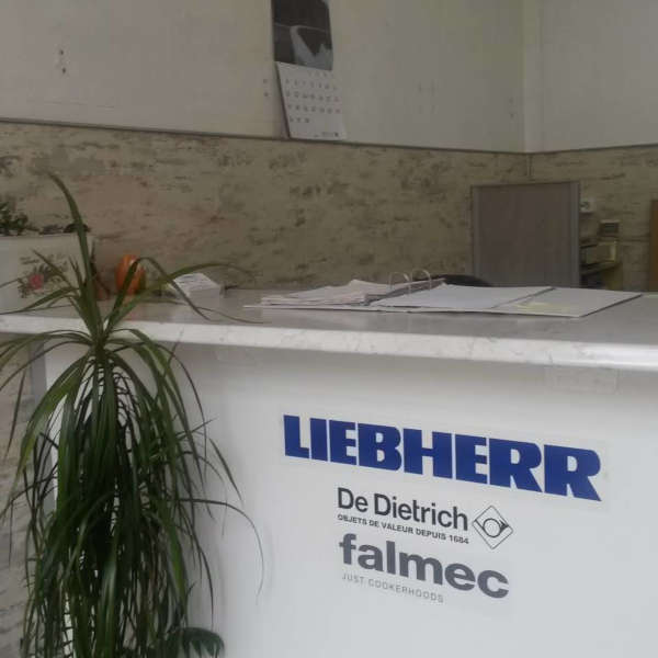 Liebherr – Lanbisat recepción de la empresa